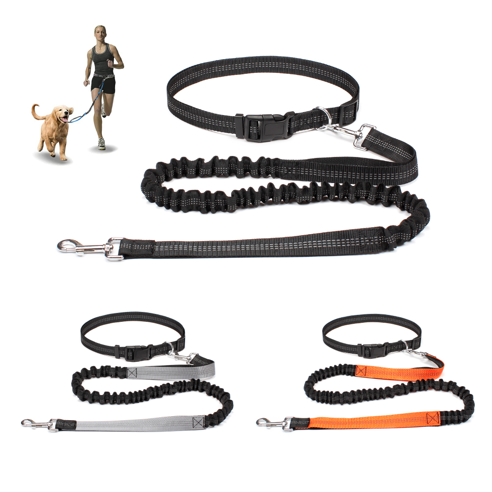 Running Jogging Gear - Laisse mains libres pour chien, pour