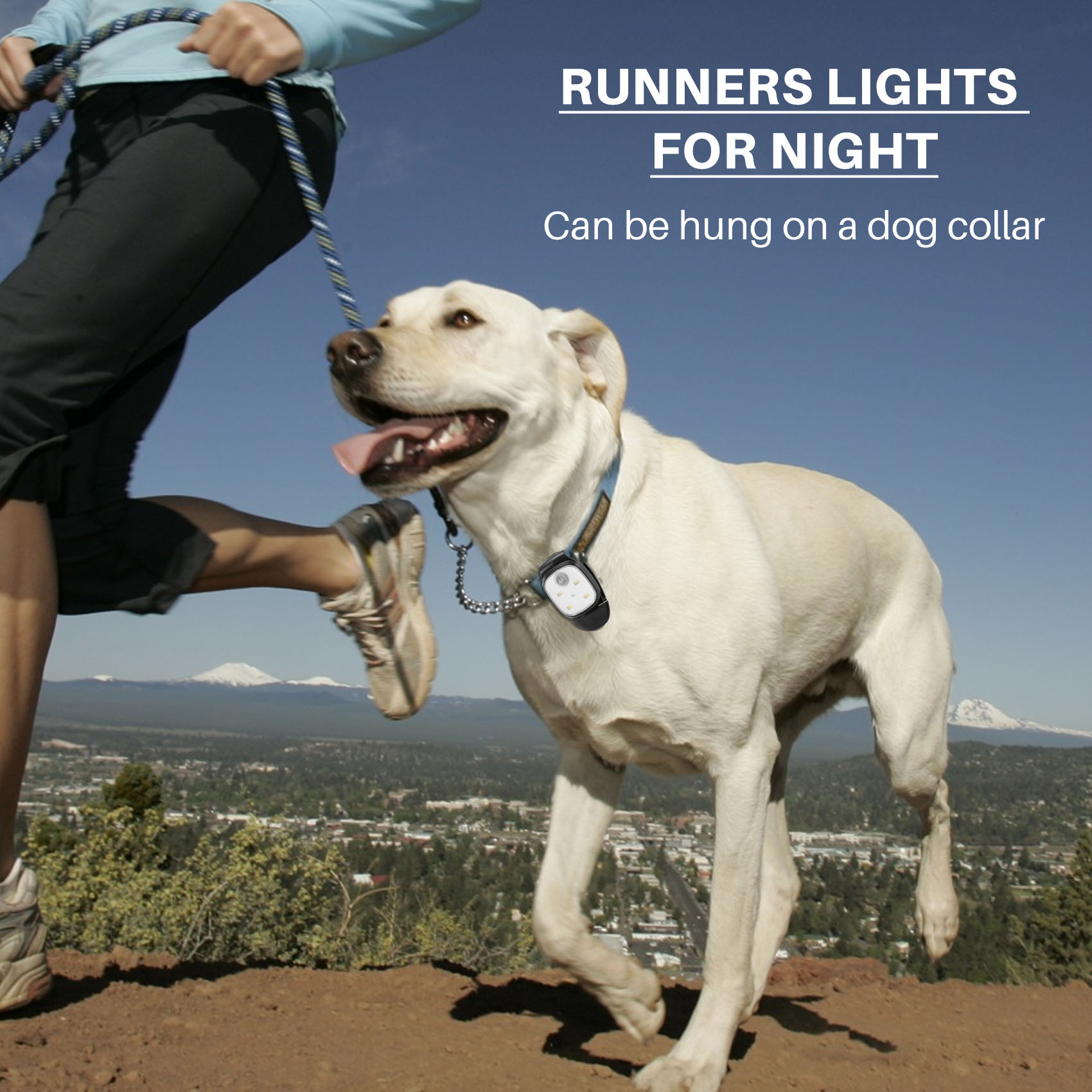Running Gear Reflective - XSXS-extérieur nuit pince sur feux de