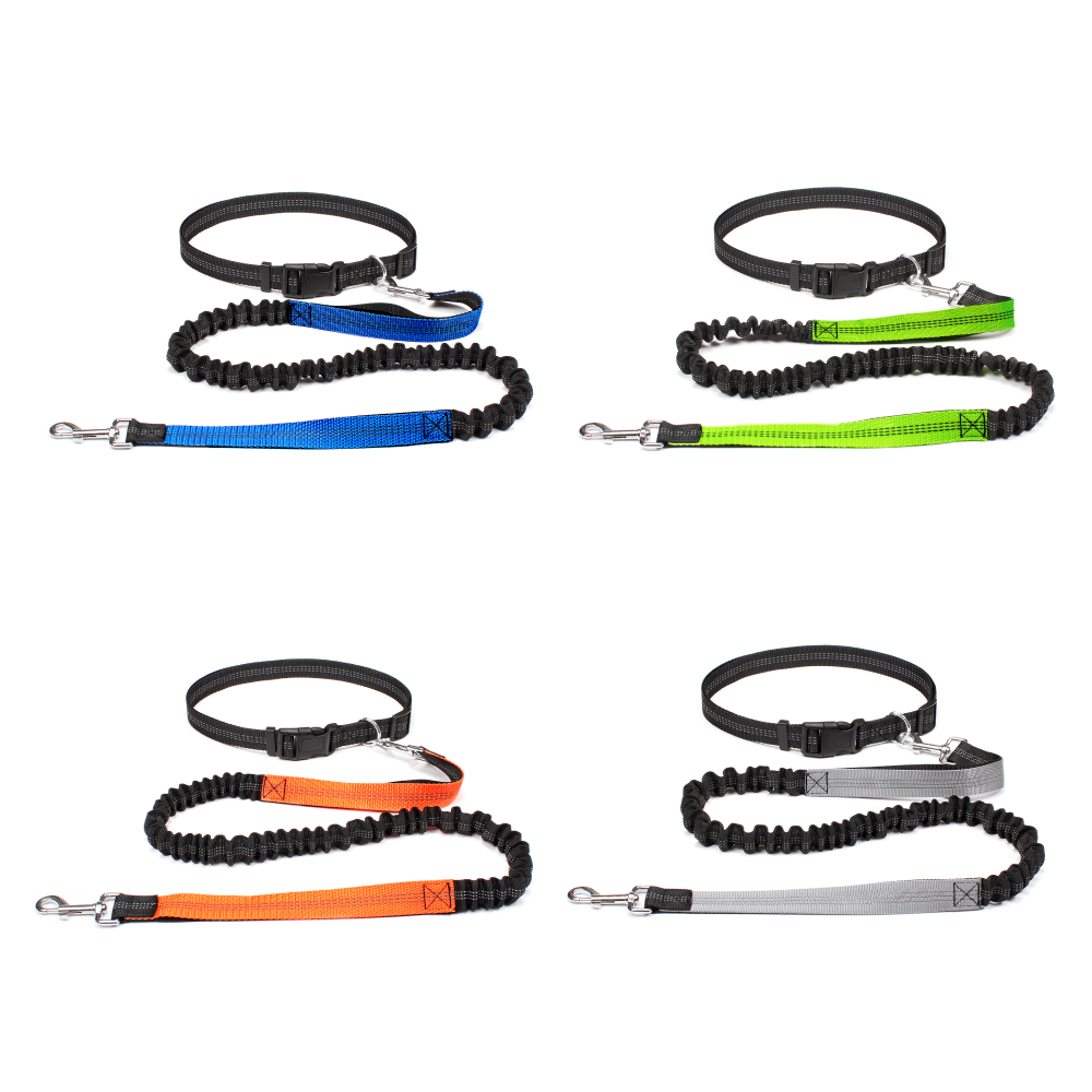 Laisse mains libres pour chien - Running Jogging Gear avis et prix